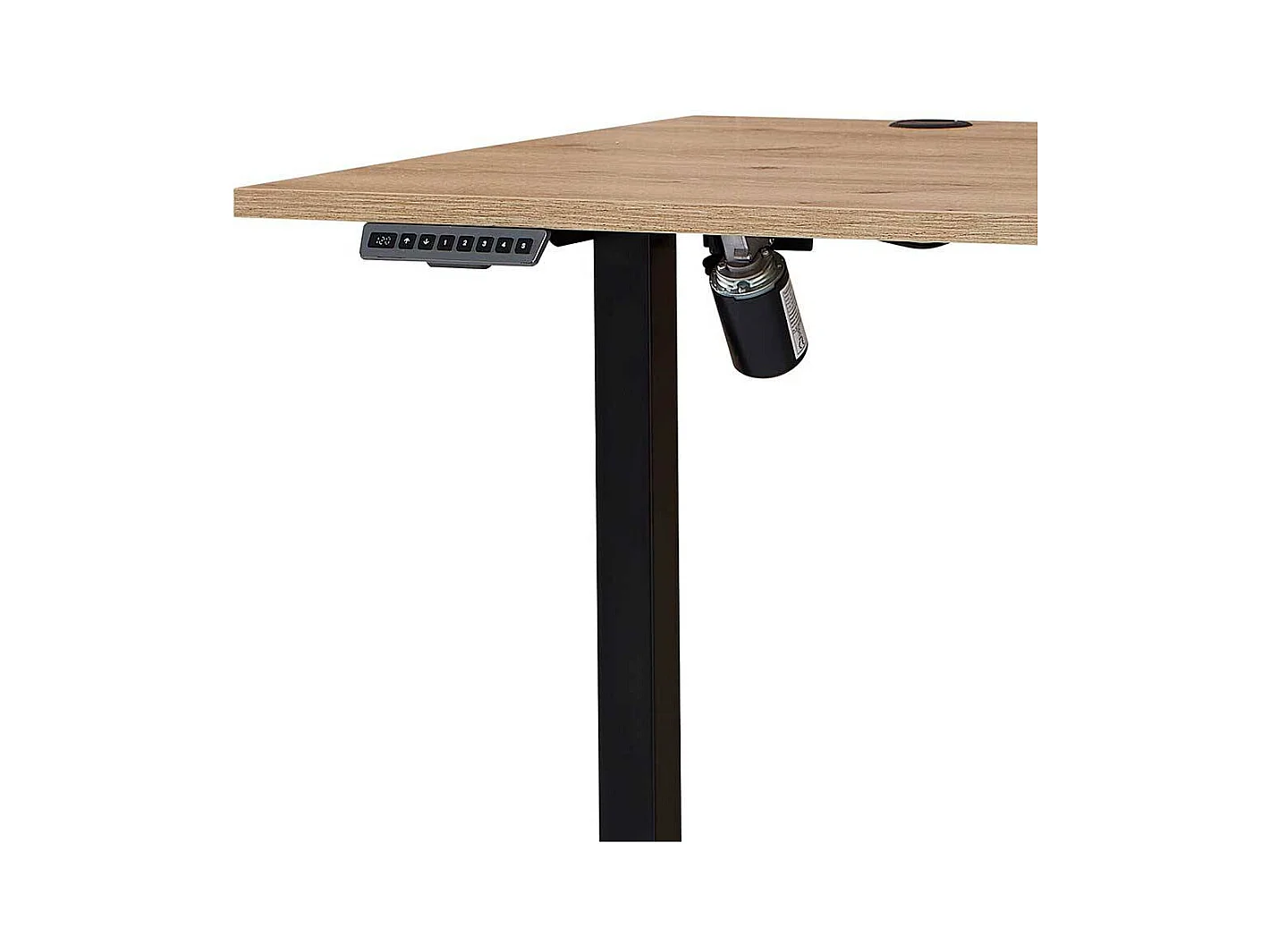 Höhenverstellbarer Schreibtisch in Wildeichefarben Kabeldurchlass