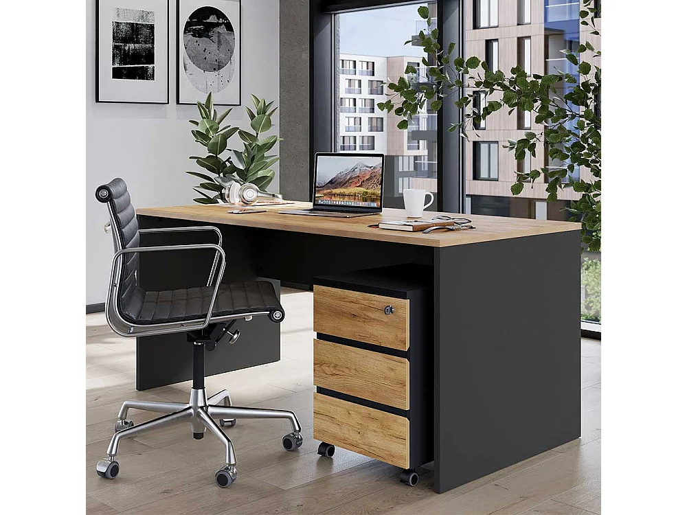 Home Office Schreibtisch mit Rollcontainer Knieraumblende (zweiteilig)