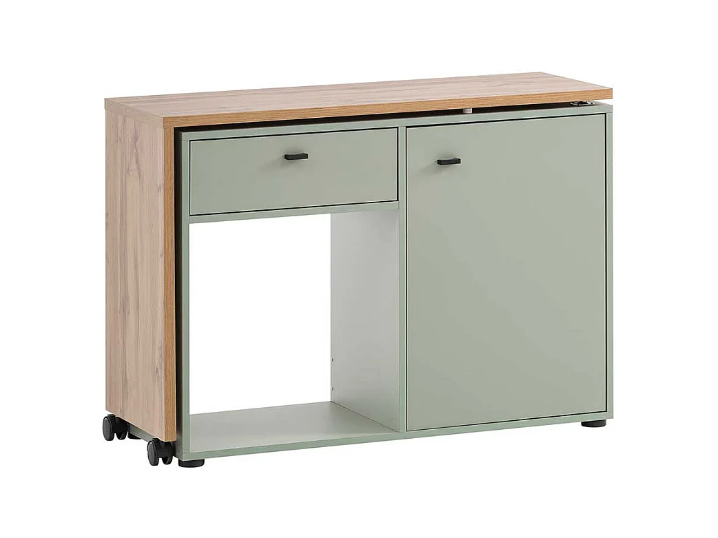 Schreibtisch in Wildeichefarben und Graugrün Seitenregal, Tür und Schubkasten