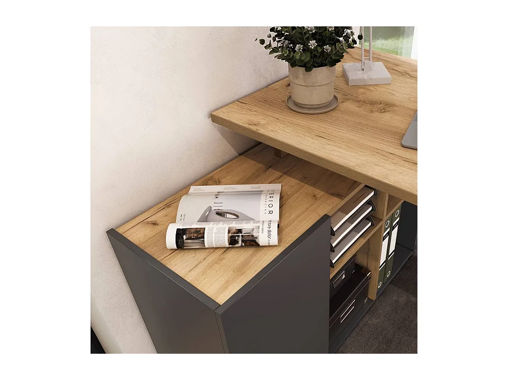 Schreibtisch Bürotisch mit Tür in Wildeichefarben