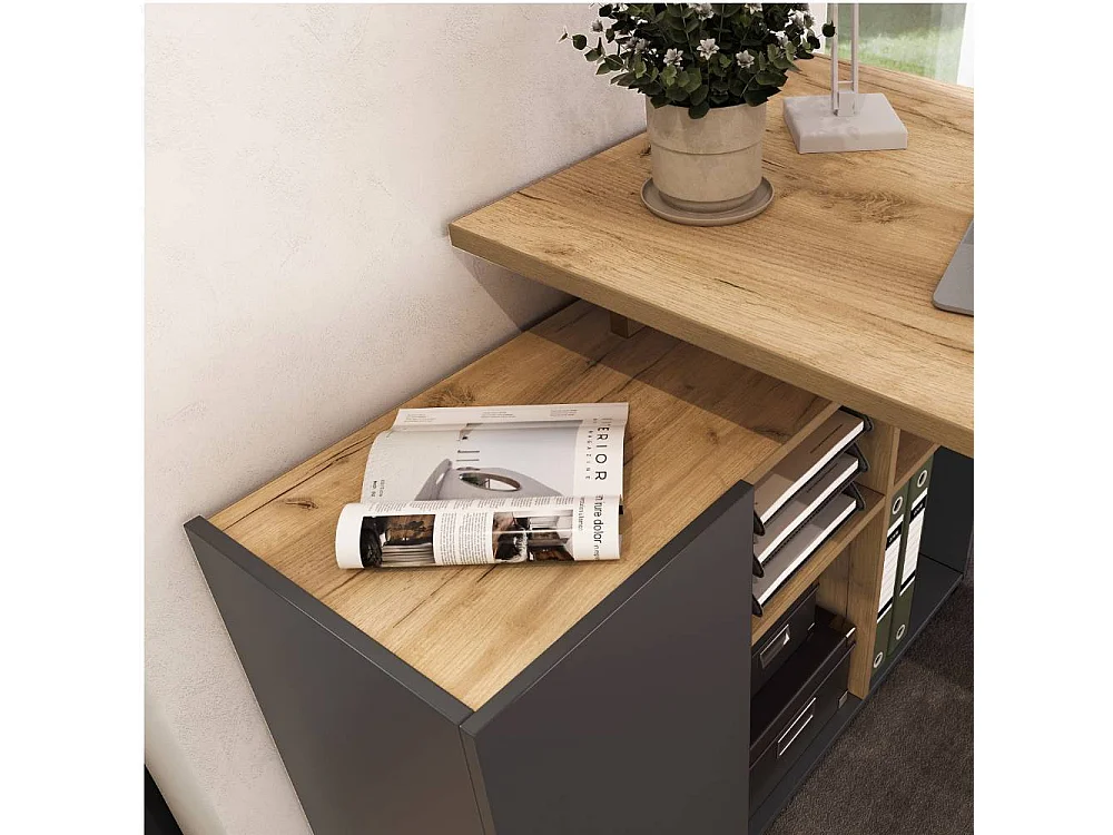 Schreibtisch Bürotisch mit Tür in Wildeichefarben