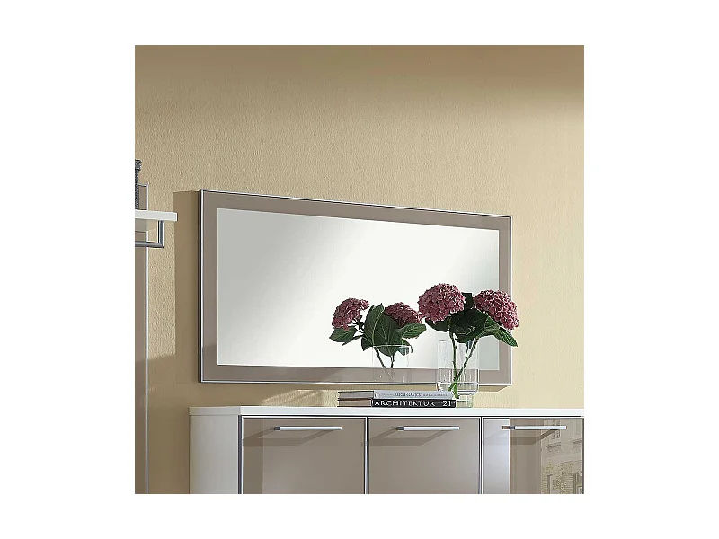 Garderobenspiegel in Taupe Glas modern