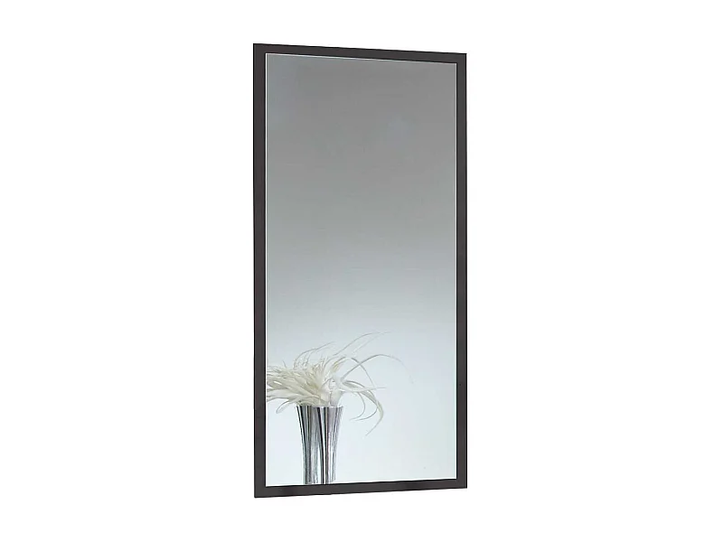 Spiegel für die Wand Rahmen in Dunkelgrau 106 cm hoch