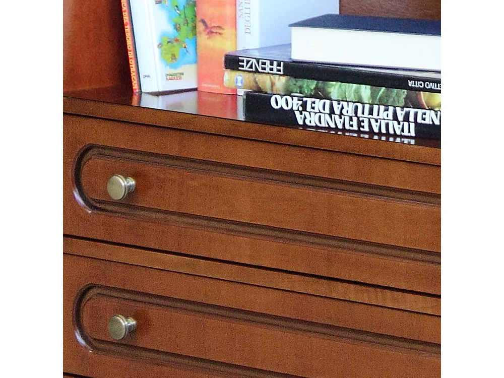 Regal mit zwei Schubladen in Nussbaumfarben klassischen Stil