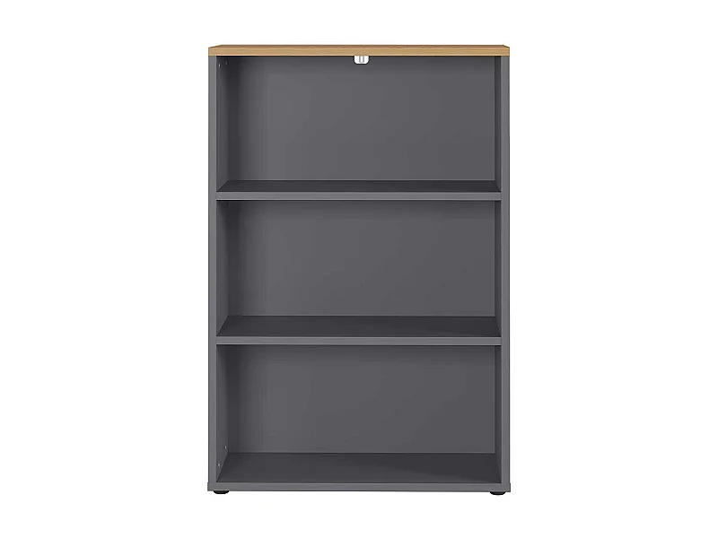Aktenregal in Dunkelgrau und Wildeiche Optik 80 cm breit