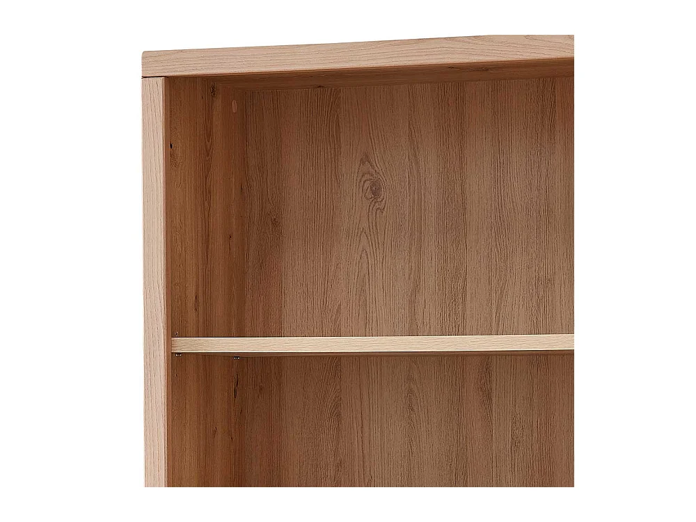 Aktenregal mit Türen in Eschefarben Wildeichefarben