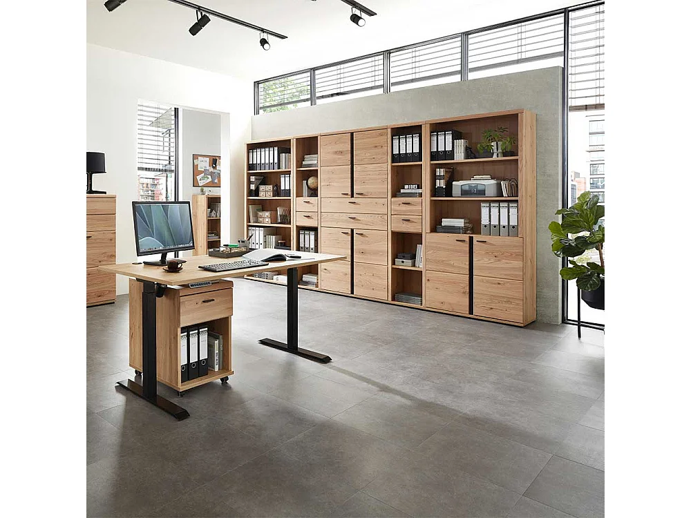 Aktenregal mit Türen in Eschefarben Wildeichefarben