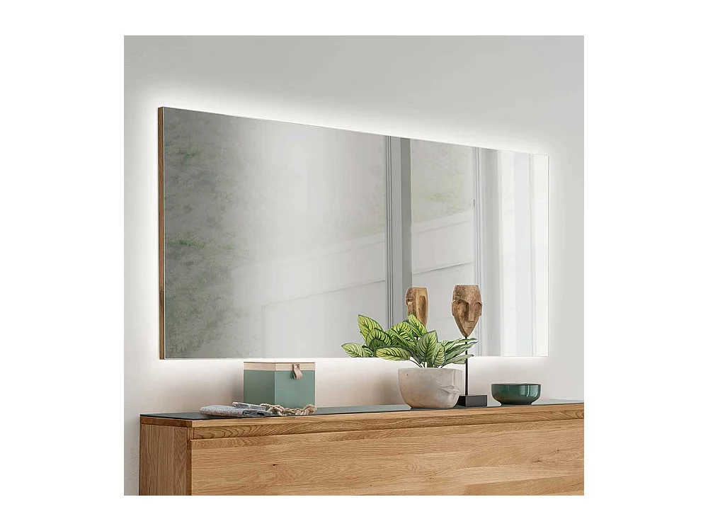 Garderoben Spiegel groß für die Wandmontage rechteckiger Form