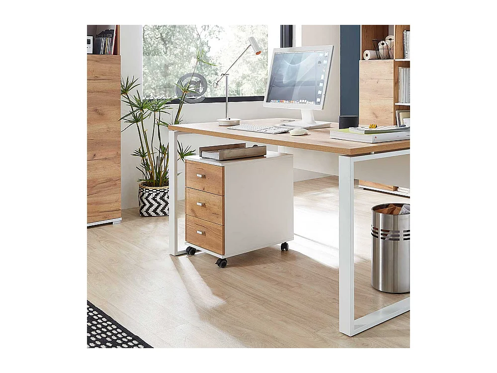 Rollcontainer in Weiß Eichefarben