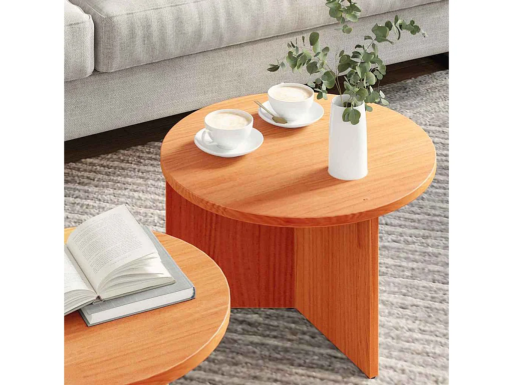 Table basse 2 pièces Marron cire 49 x 49 x 28 cm