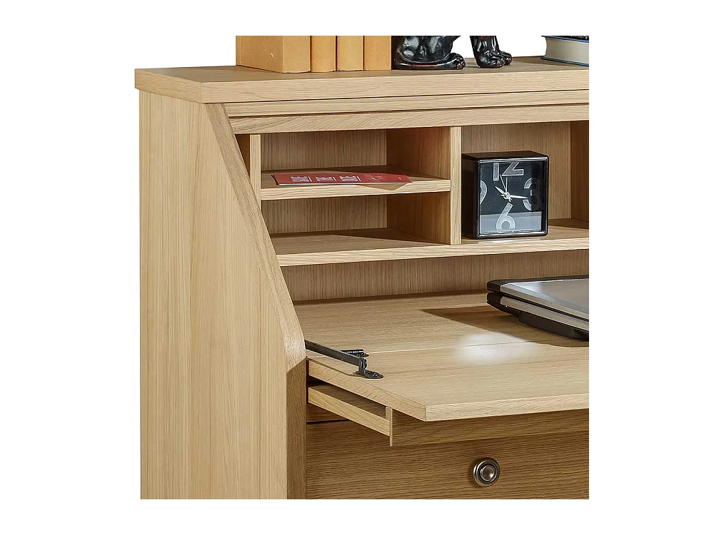 Schranksekretär mit Eiche furniert 2-türig
