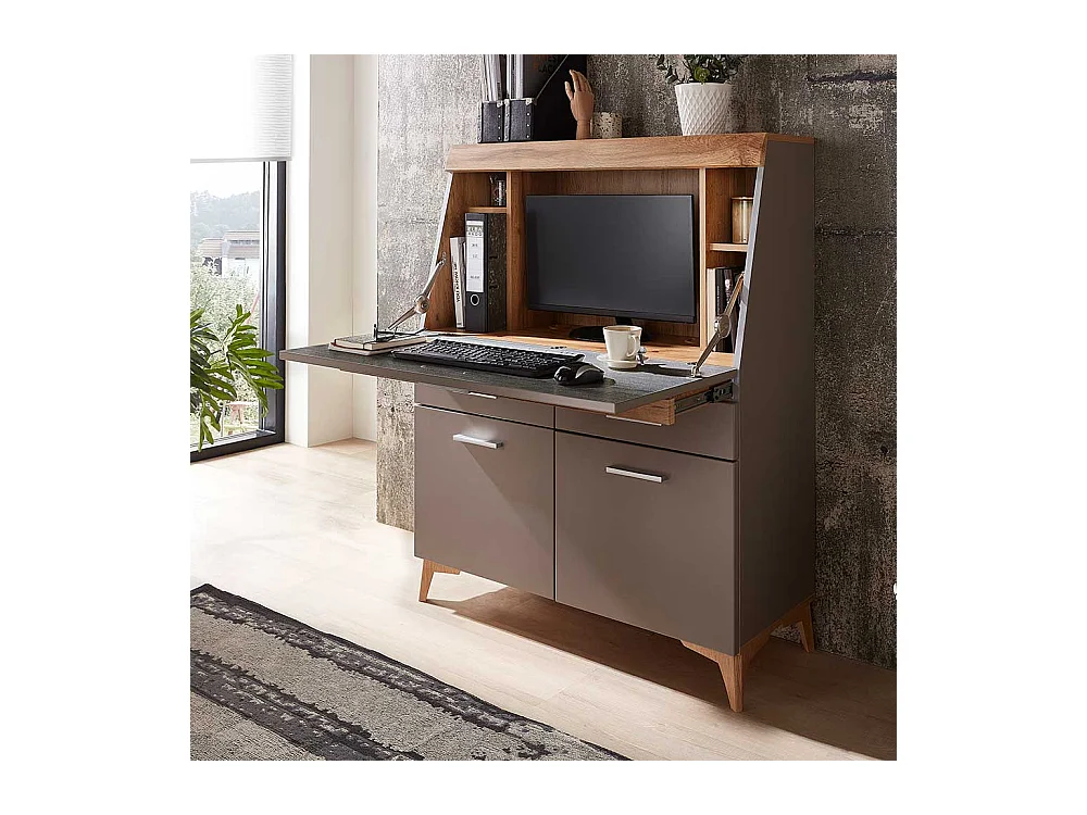 Sekretärschrank mit Schreibklappe Grau & Eichefarben