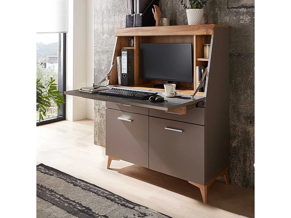 Sekretärschrank mit Schreibklappe Grau & Eichefarben