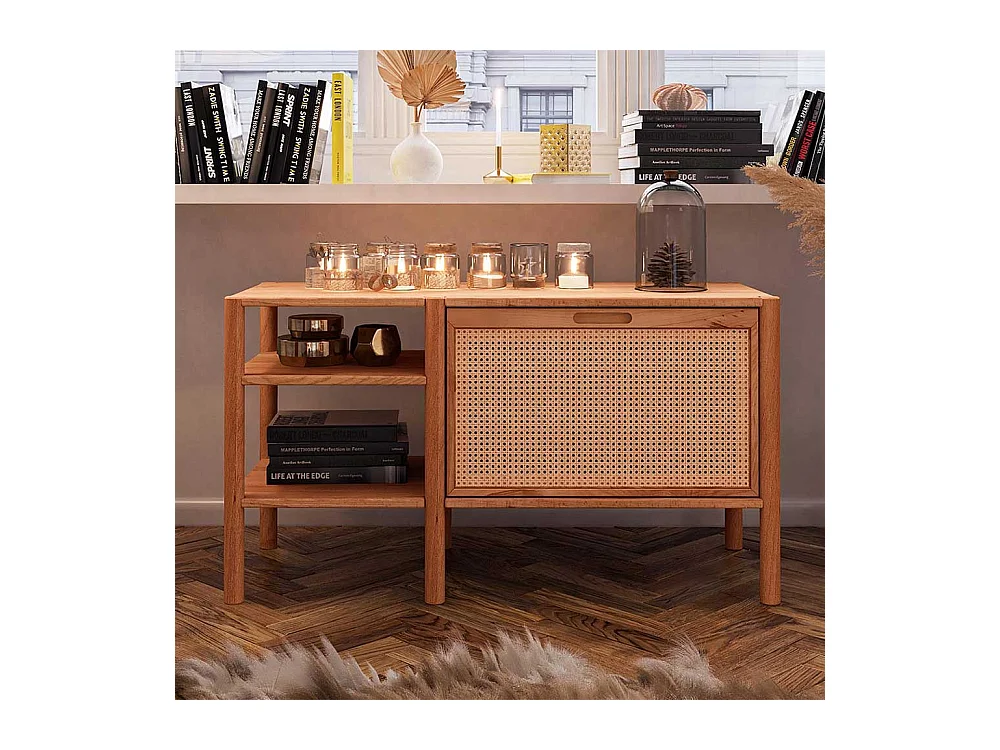 Wohnzimmer Regal mit Klappe aus Wildbuche Massivholz Rattan