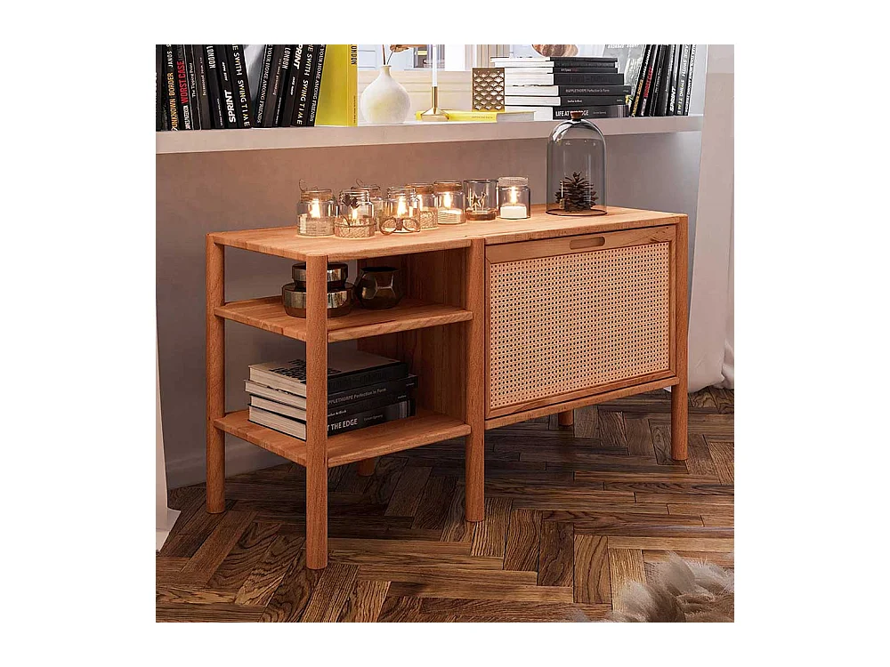 Wohnzimmer Regal mit Klappe aus Wildbuche Massivholz Rattan