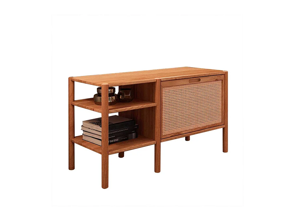 Wohnzimmer Regal mit Klappe aus Wildbuche Massivholz Rattan