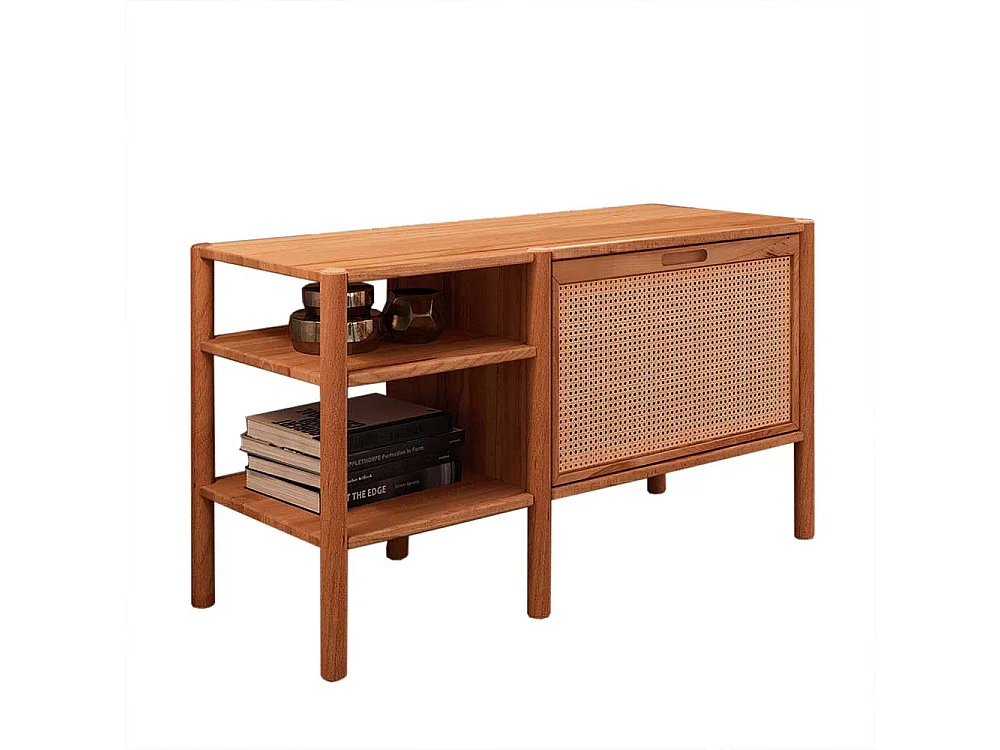 Wohnzimmer Regal mit Klappe aus Wildbuche Massivholz Rattan