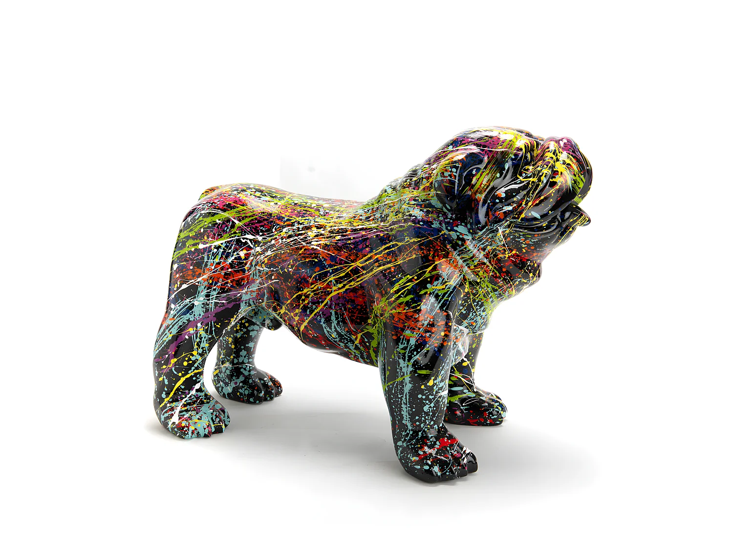 Bulldog USA Splash noir small