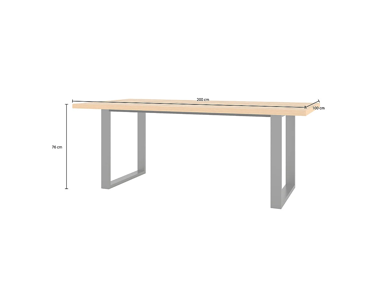 Houten en metalen 6-persoons eettafel Eden