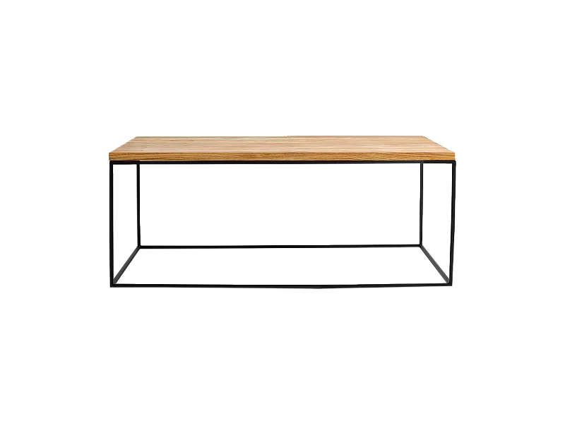 Table basse 100x60x45 cm Noir tensio bois massif