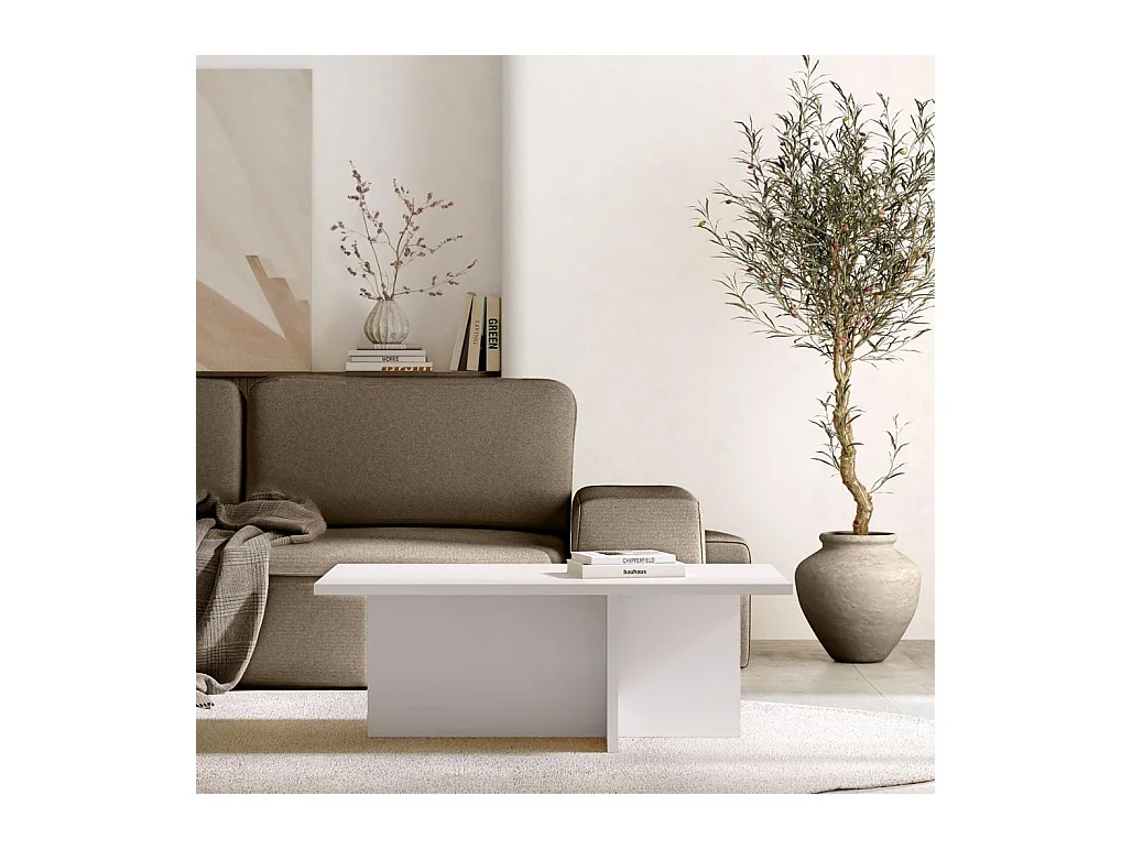 Couchtisch 110x60x40 cm Kaschmir Esche