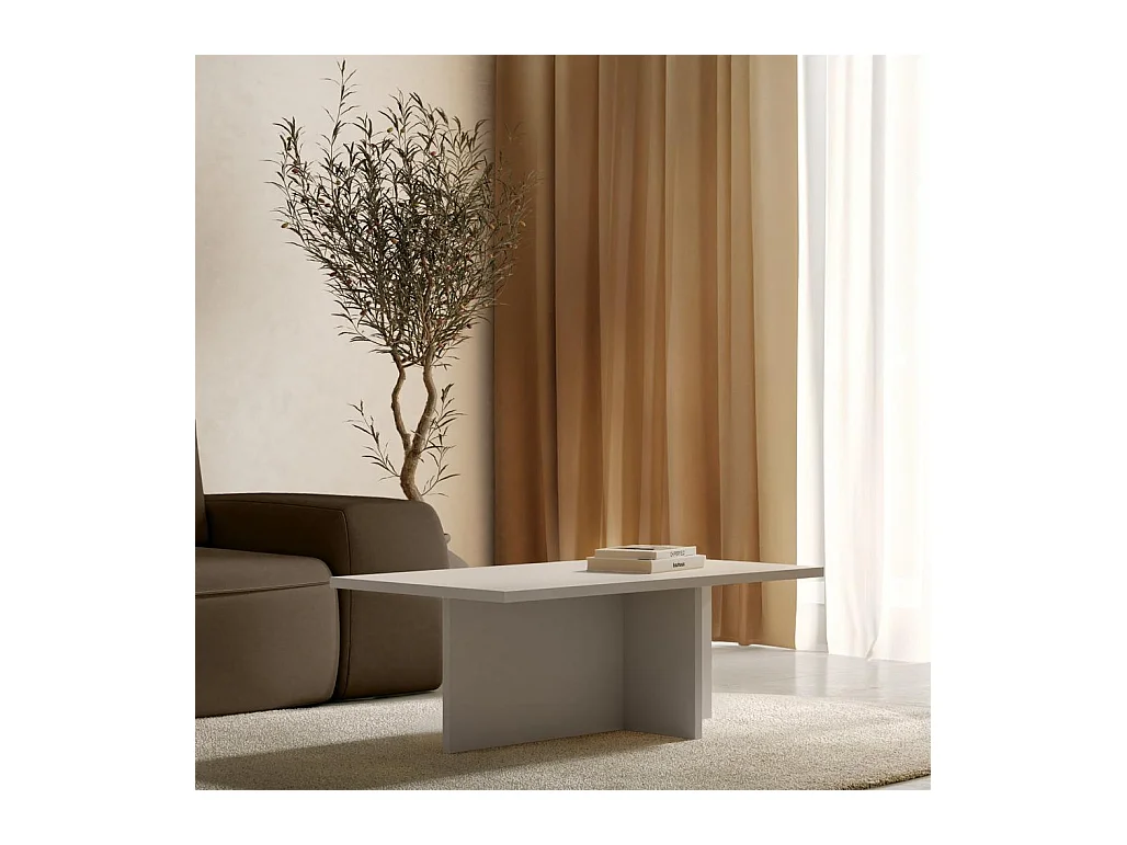 Couchtisch 110x60x40 cm Kaschmir Esche