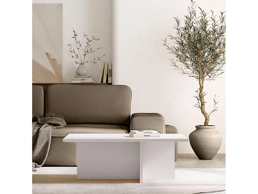 Couchtisch 110x60x40 cm Kaschmir Esche