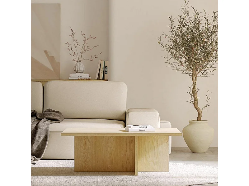 Couchtisch 40x110x60 cm Naturholz Esche