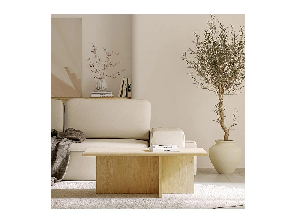 Couchtisch 40x110x60 cm Naturholz Esche