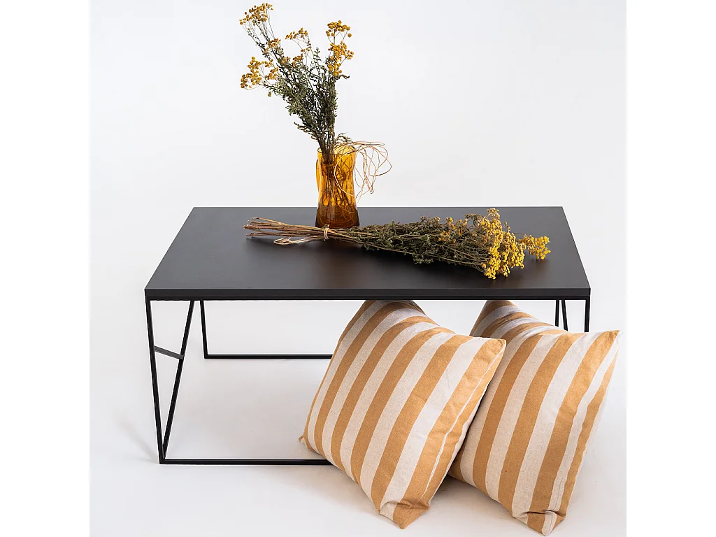 Table basse 100x60x45 cm noire élégante basique