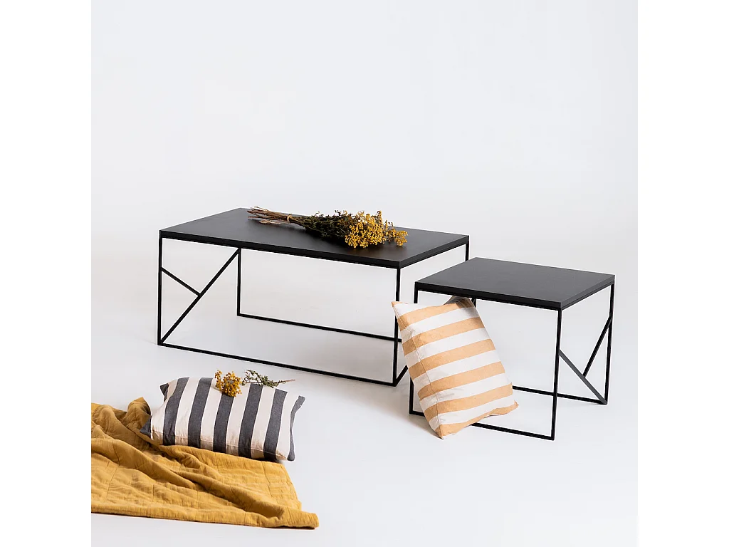 Table basse 100x60x45 cm noire élégante basique