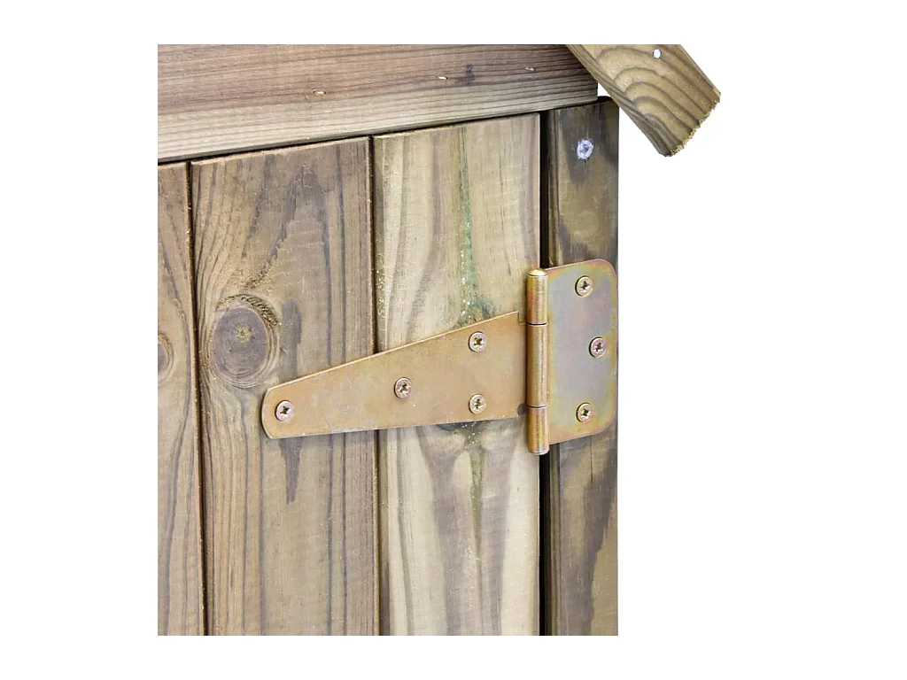 Sophie-Coralie  Abri à outils de jardin et porte 69,5x32x178cm Pinède imprégnée