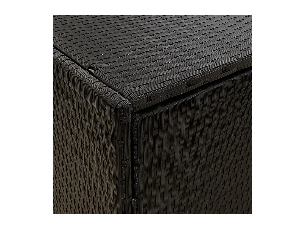 Zane Scott  Armoire de rangement de jardin Noir 59x40x180 cm Résine tressée