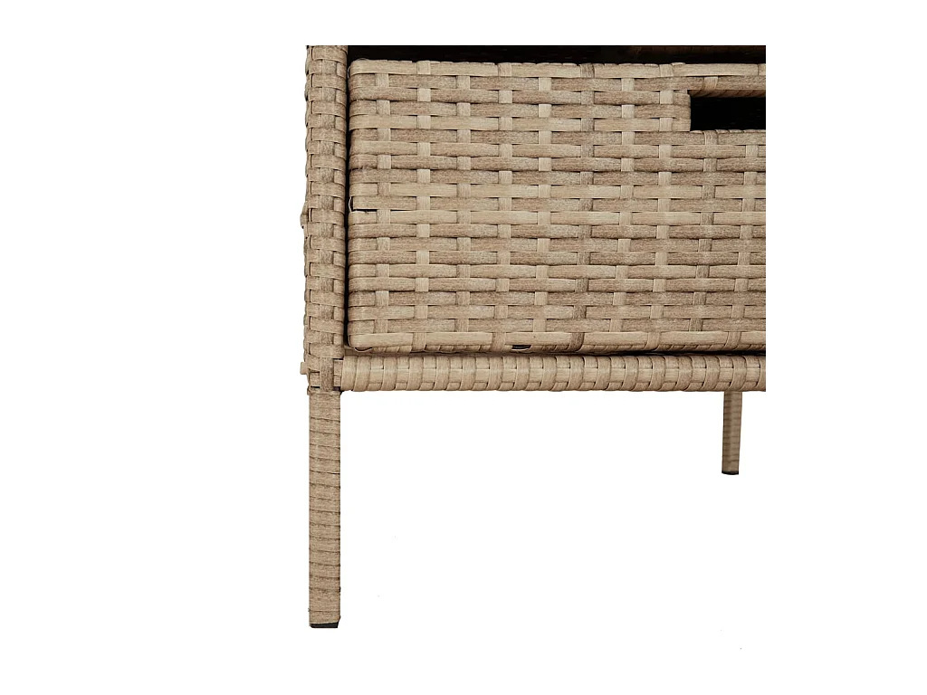 Holiday  Armario de almacenaje de jardín ratán PE beige 55x59x80 cm