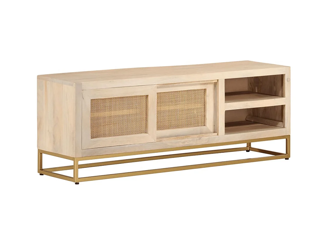Garden Furniture -  Tv-meubel 110x30x40 cm massief ruw mangohout en ijzer