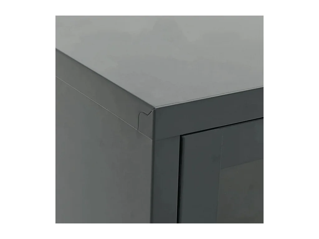 Bylor  Meuble TV Anthracite 105x35x52 cm Acier et verre