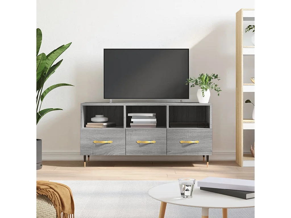 Ravy  Meuble TV sonoma gris 102x36x50 cm bois d'ingénierie