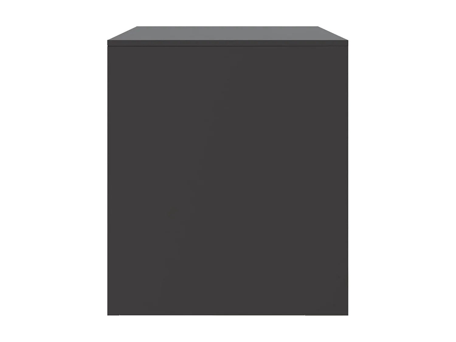 Borrego Springs  Muebles para TV 2 unidades acero negro 67x39x44 cm