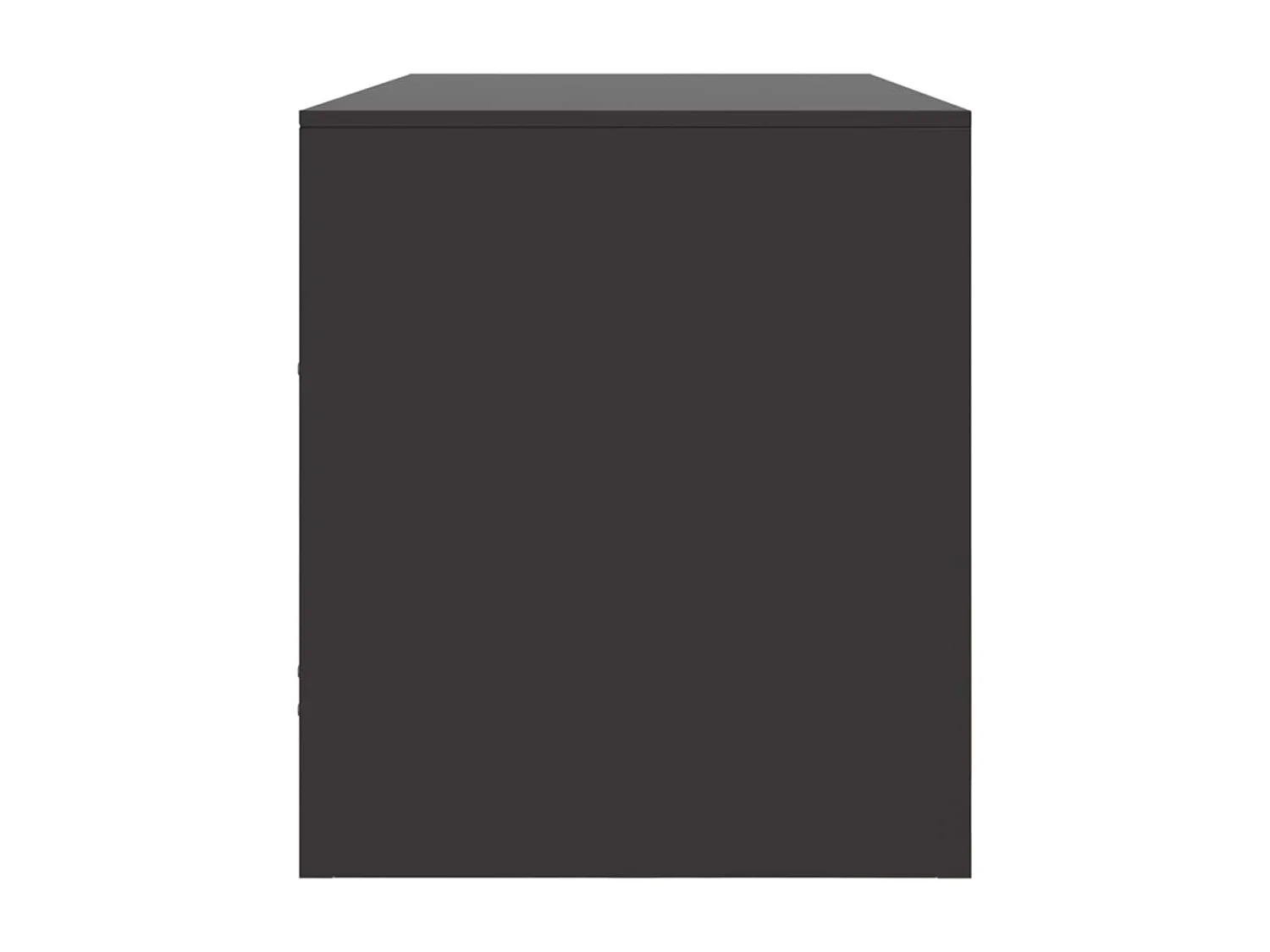 Dafina  Tv-meubel 99x39x44 cm staal zwart