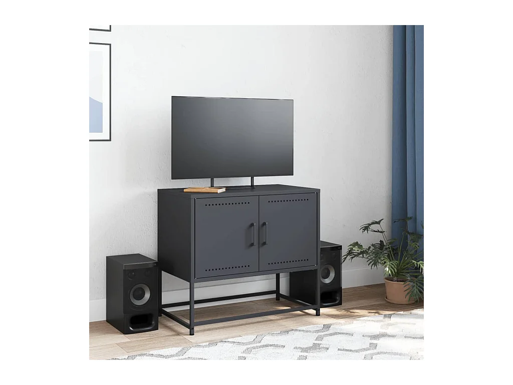 Cerlan  Meuble TV anthracite 68,5x39x60,5 cm acier