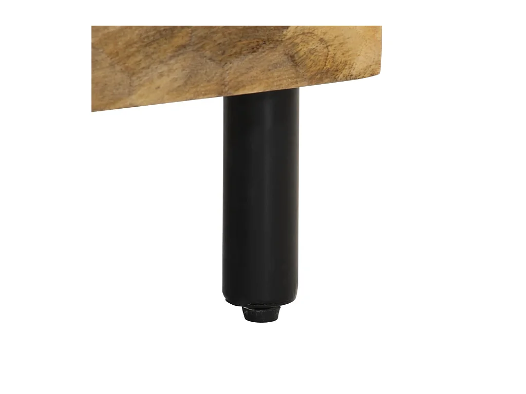 Luc-Élie  Meuble TV 100x33x46 cm bois massif de manguier