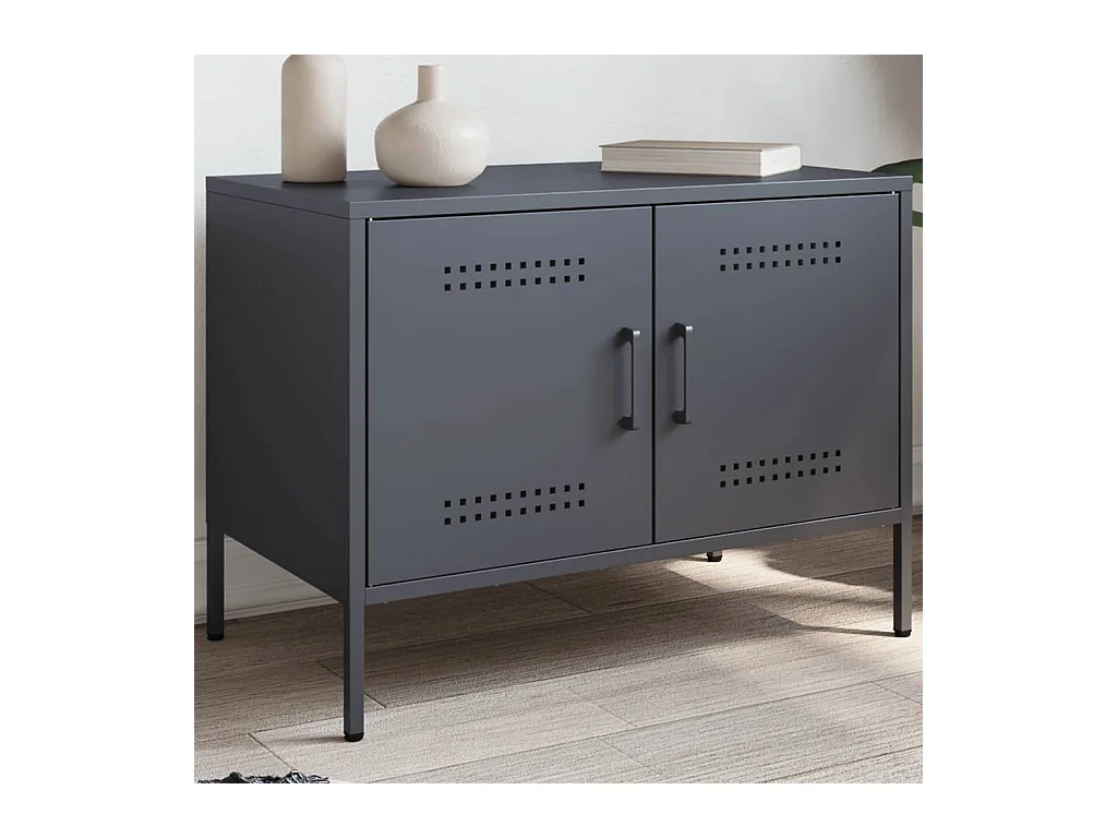 Raena  Meuble TV anthracite 68x39x50,5 cm acier