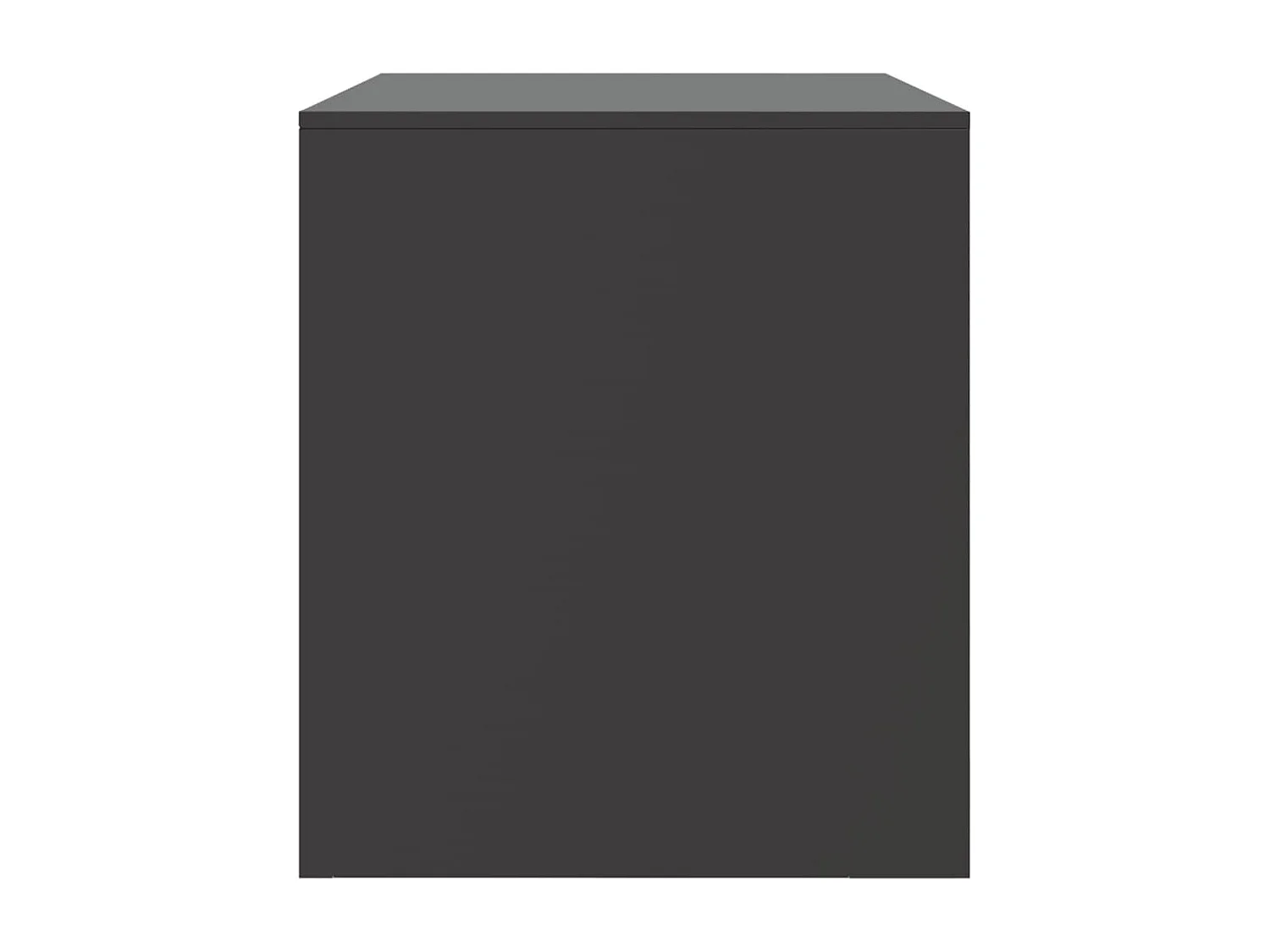 Borrego Springs  Meuble TV noir 67x39x44 cm acier