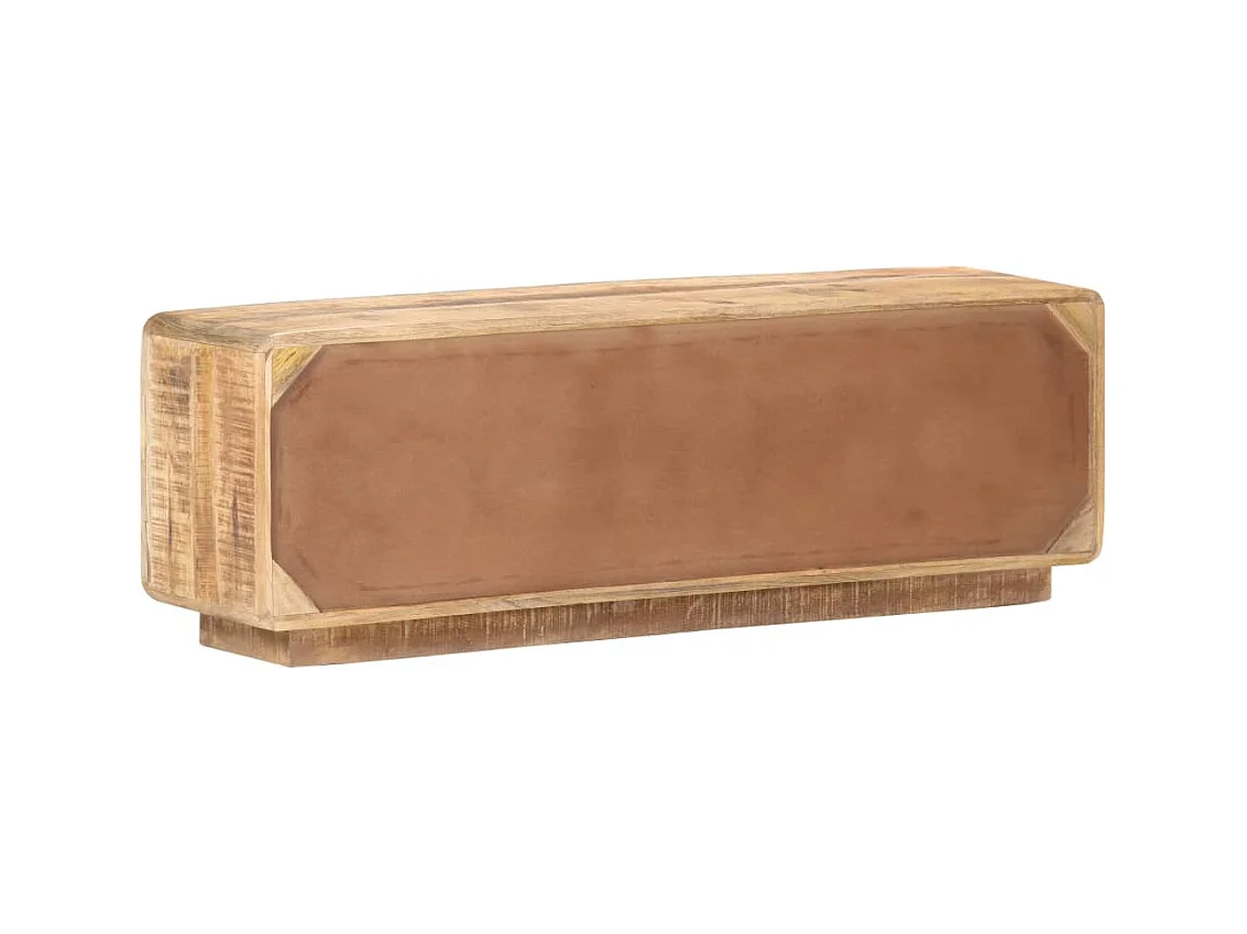 Pierre-Antoine-Paul  Tv-meubel 120x30x40 cm ruw mangohout