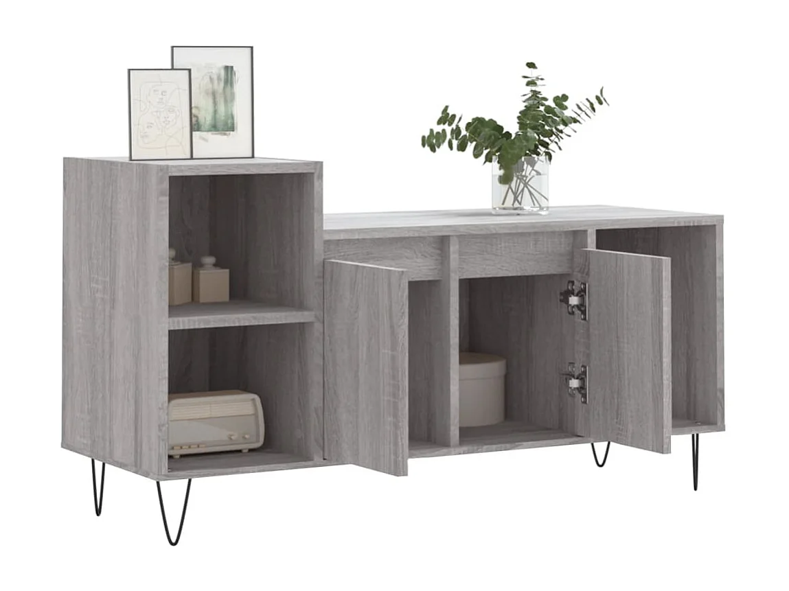 Erinor  Mueble de TV madera contrachapada gris Sonoma 100x35x55 cm