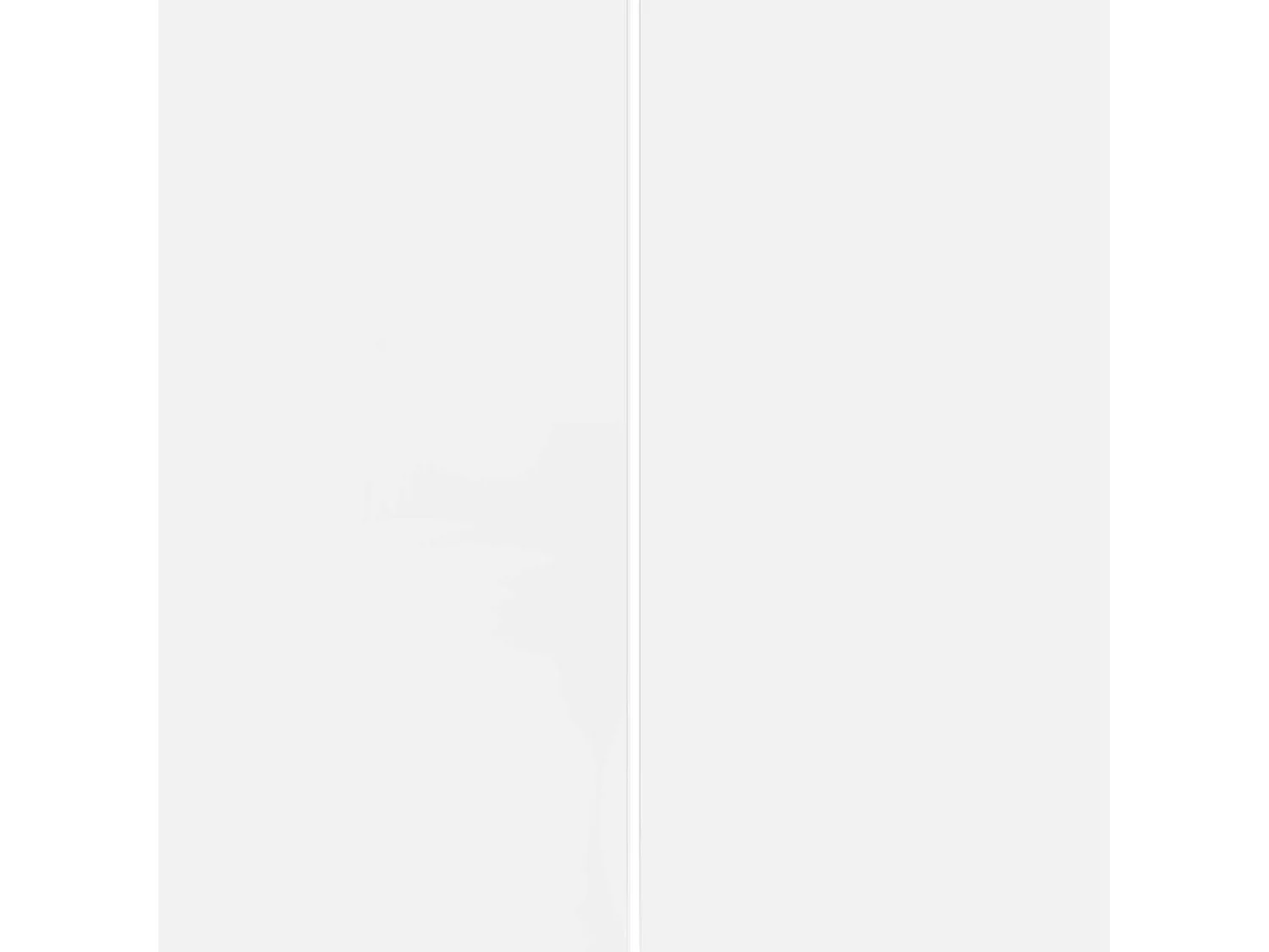 Armadio multiuso Easy a 2 ante bianco opaco 79,20x38x166 cm