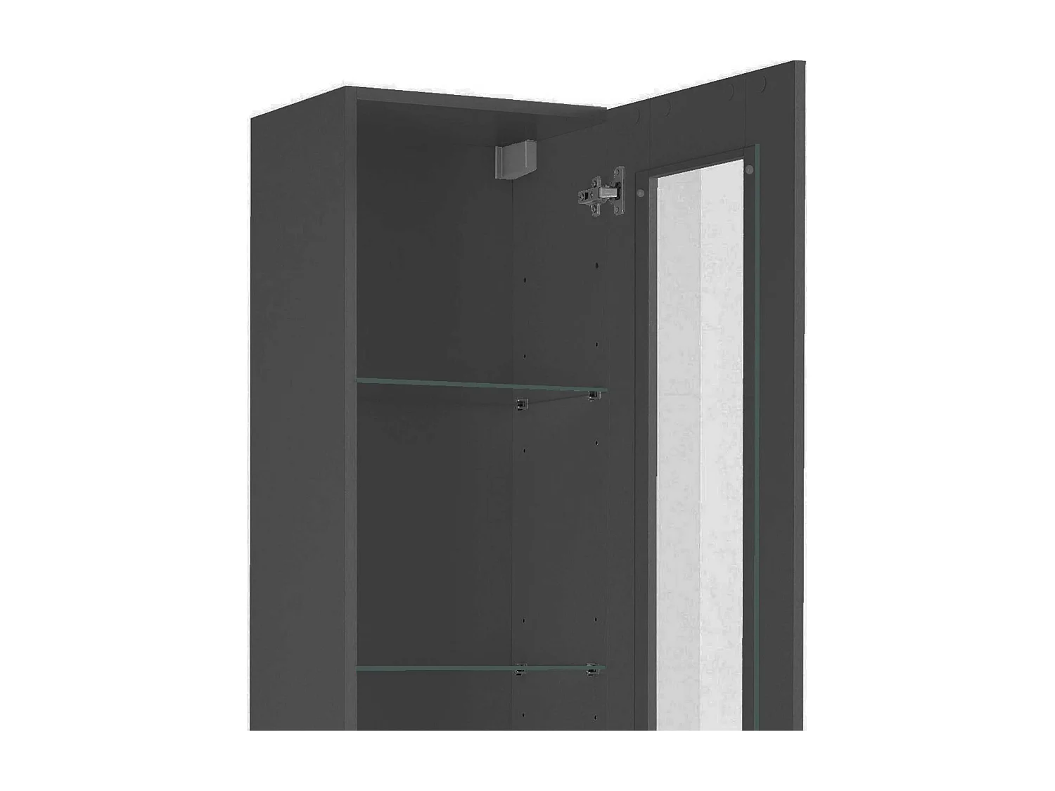 Moderne schwarze Wohnzimmer-Vitrine mit Glastür und 4 Glasböden Note Vidrio