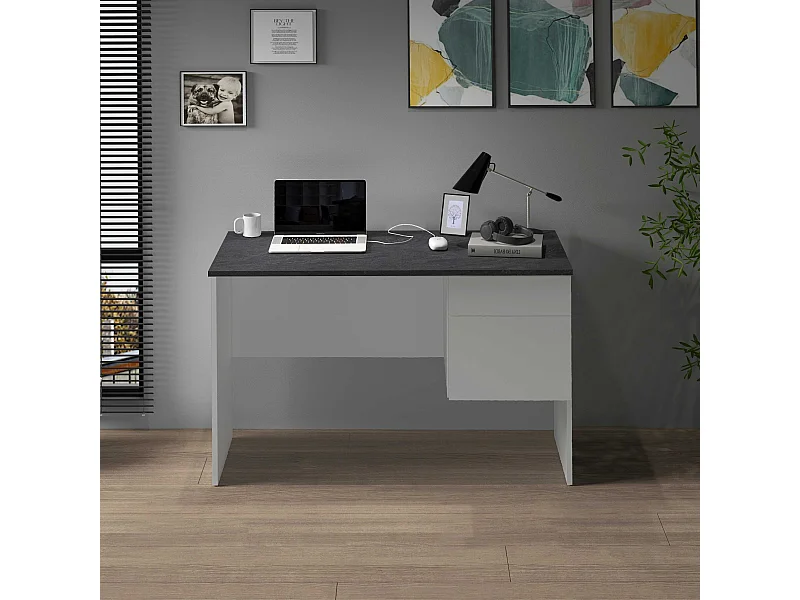 Scrivania Easy 1 anta e 1 cassetto report e bianco opaco 110x50x75 cm