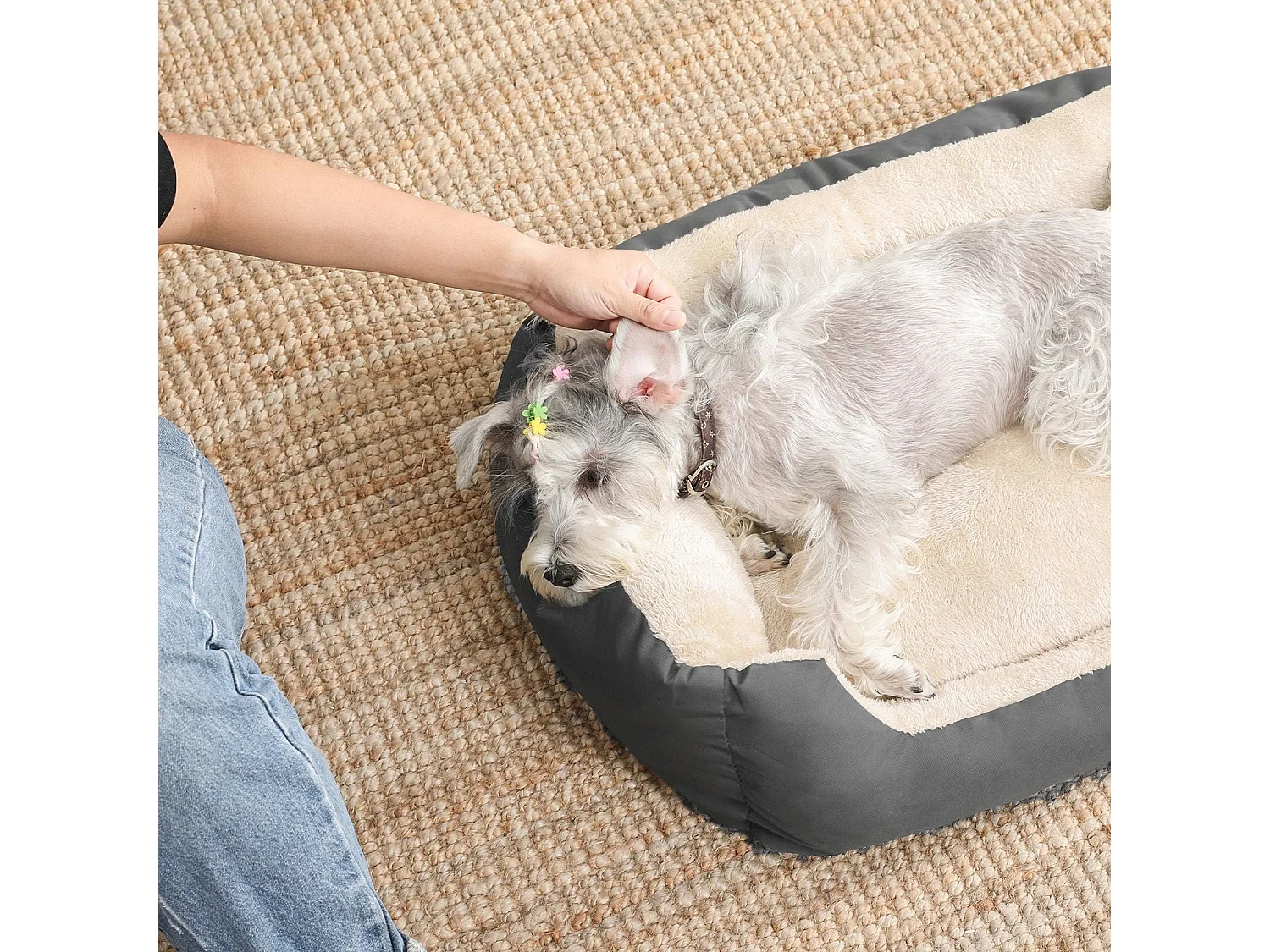 Panier pour chien Fehmarnsund