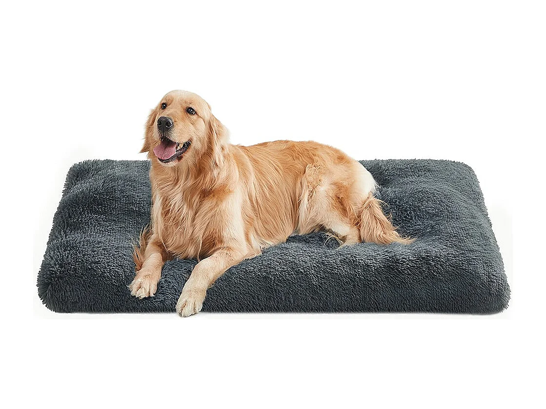 Lit pour chien Fraserburgh